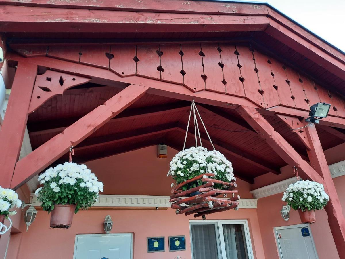 Villa Sunset Palic Exterior photo