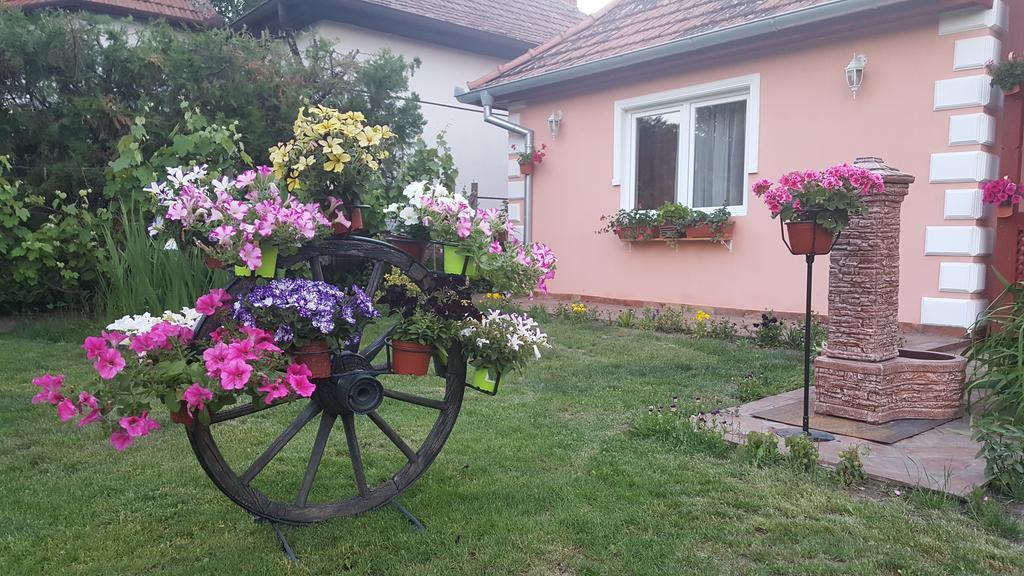 Villa Sunset Palic Exterior photo